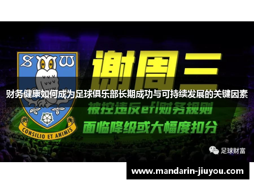 财务健康如何成为足球俱乐部长期成功与可持续发展的关键因素