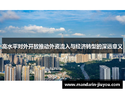 高水平对外开放推动外资流入与经济转型的深远意义