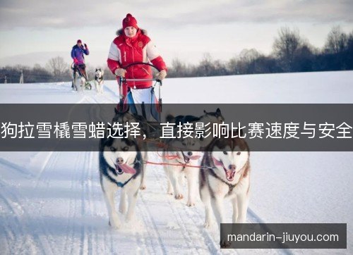 狗拉雪橇雪蜡选择，直接影响比赛速度与安全